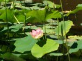 /album/galleria-foto-homepage/a100-1592-jpg1/