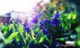 /album/elaborazioni-naty2/a555035-10200374892247961-64414838-n-jpg3/