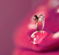 /album/galleria-foto-homepage1/naty-jpg/